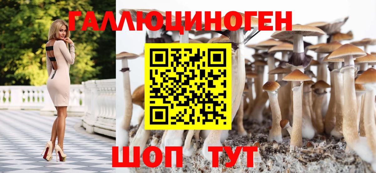 Псилоцибиновые грибы ЛСД Мытищи